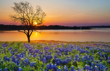 Wrongful Death Lawyers Texas Oklanhoma